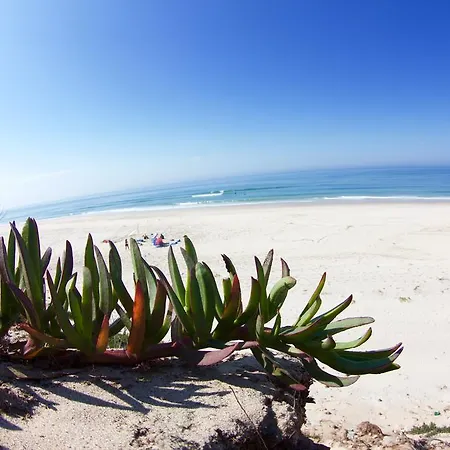 Auberge de jeunesse Oporto Surf Camp Esmoriz