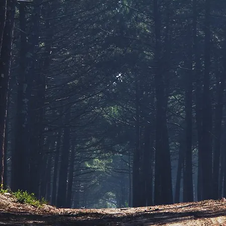 Hostel Oporto Surf Camp
