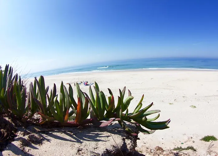 Ostello Oporto Surf Camp Esmoriz