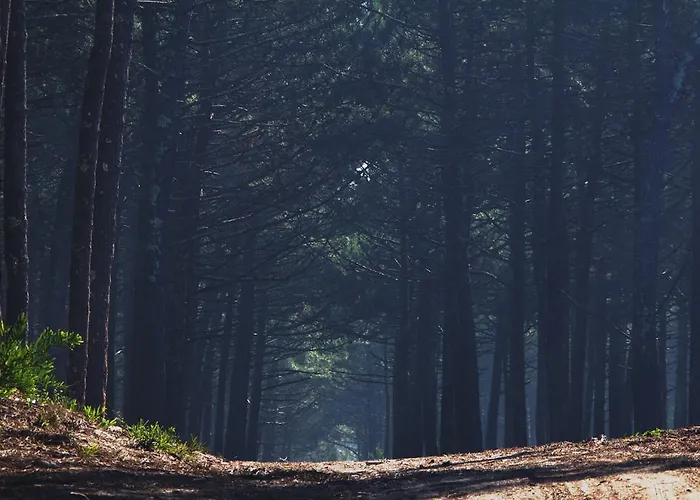 Ostello Oporto Surf Camp